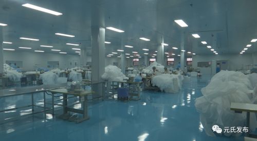 省發改委領導深入我縣調研投資及日用品項目建設工作，指導縣域經濟高質量發展